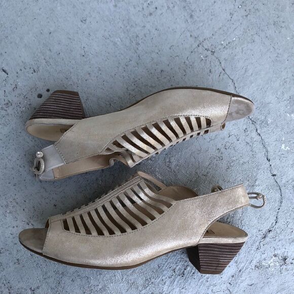 Paul Green  - Picture 1 of 8